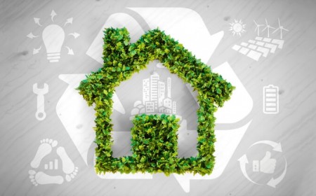 comment vivre plus écolo respect nature environnement manière durable
