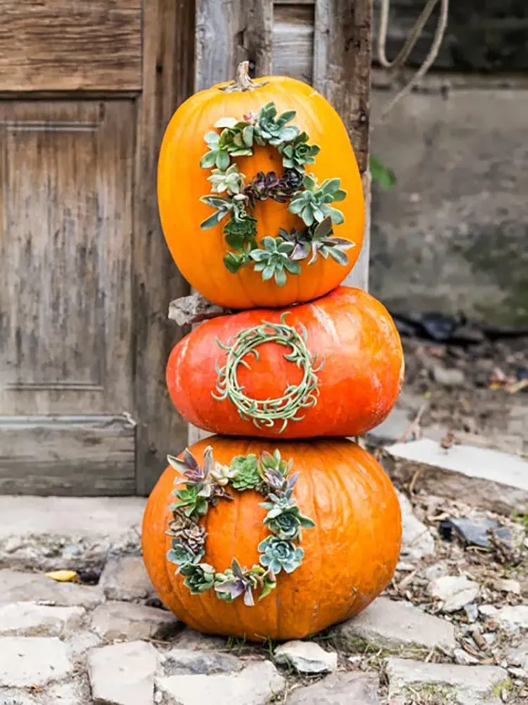 décoration halloween 2021 extérieur à fabriquer citrouilles sans creuser