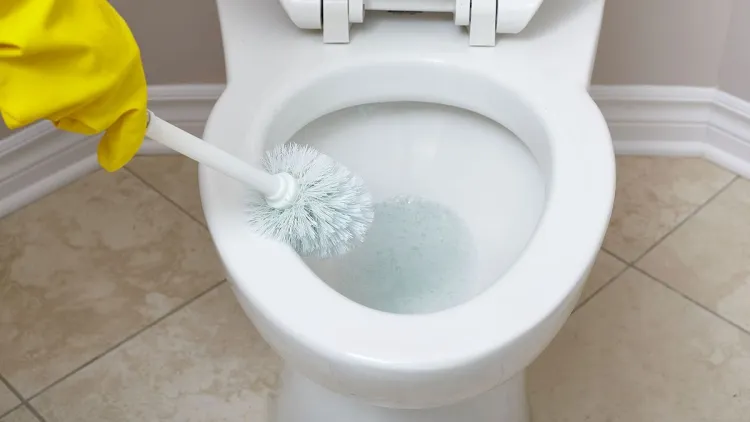 détartrer les WC eau dure cuvette toilettes surfaces chromées