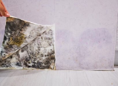 développement de moisissures sous le papier peint quels risques pour la santé