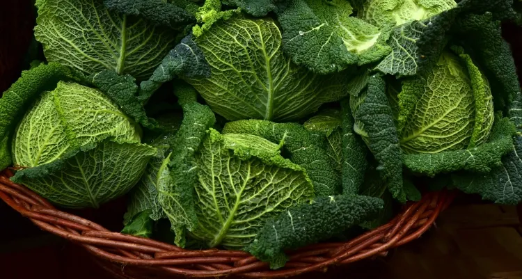perdre du poids en mangeant des legumes saison automne hiver chou vert bouilli sans sel