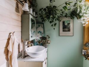 plantes pour lutter contre l’humidité lierre anglais grimpant facile entretenir