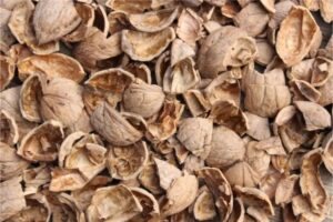 quoi faire avec des coquilles de noix