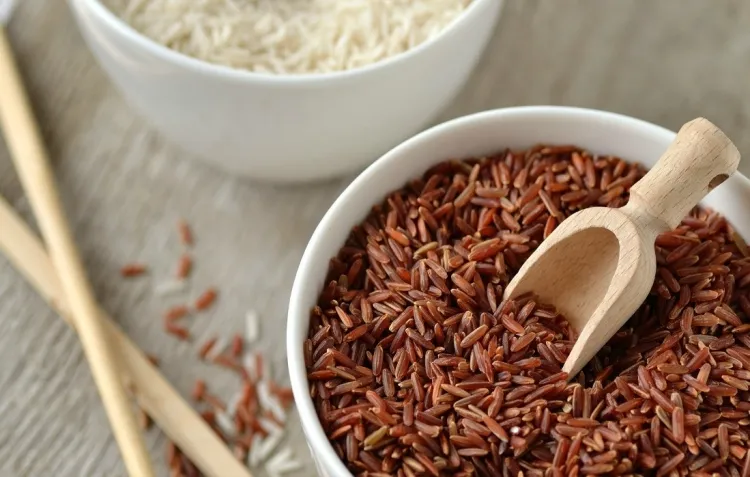 régime sans sel aliments autorisés riz brun