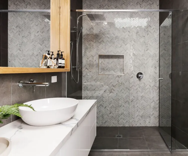 salle de bain sans fenêtres moisissure végétation absorber vapeur prospérer