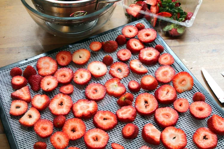 technique de déshydratation des fruits marier fraises séchées sucrées granola