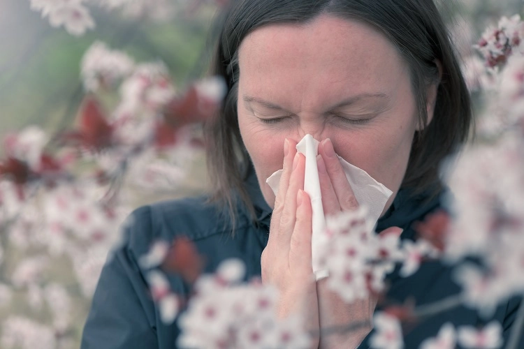 Pollen est un des alergènes qui suscite la toux