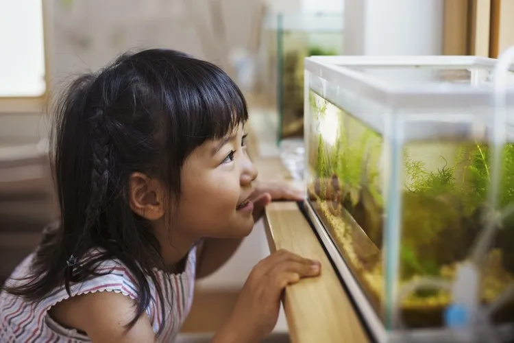 aquarium pour enfant décorer chambre fille touche naturelle tendance