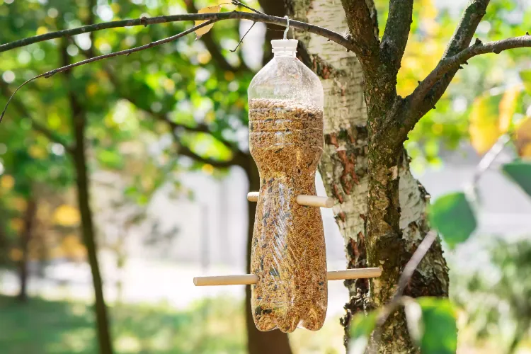 brico automne mangeoire oiseaux DIY bouteille en plastique par étapes