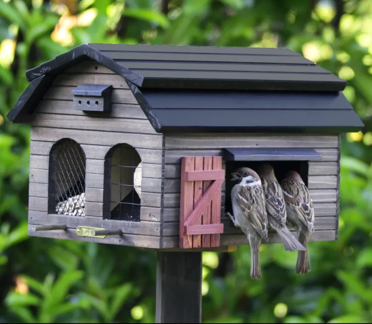 Wecandoo - Fabriquez votre maison en bois pour oiseaux