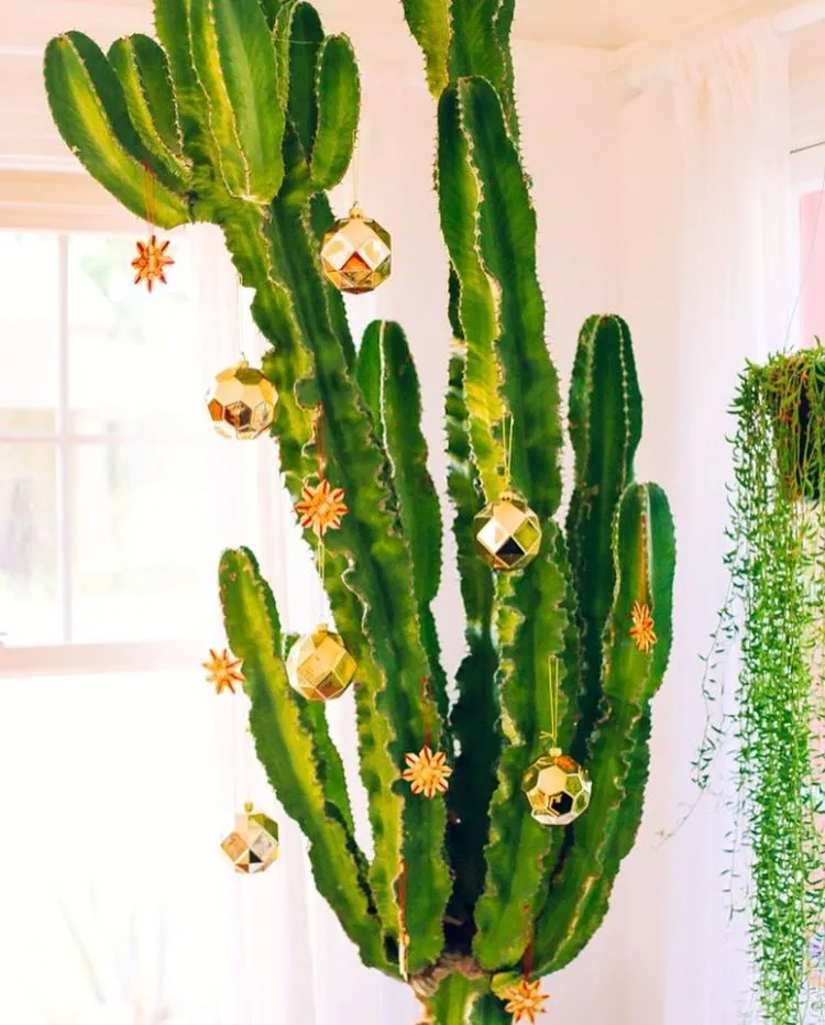 cactus en pot décoré boules décoration de Noel originale sapin alternatif 2021