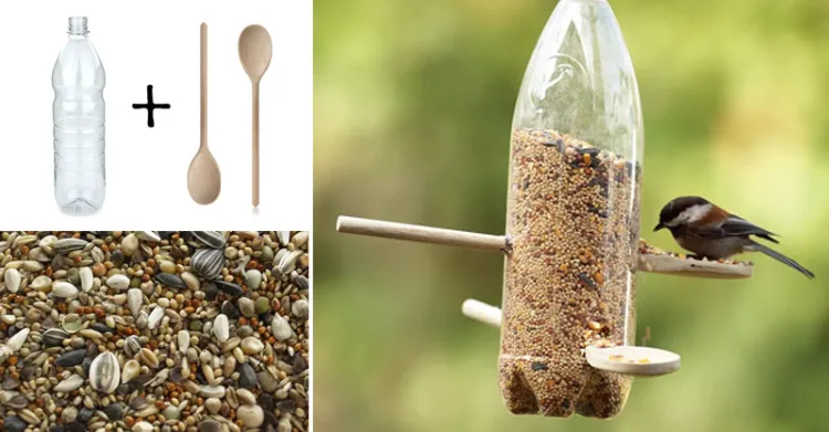 comment fabriquer mangeoire oiseaux DIY bouteille plastique cuillères en bois