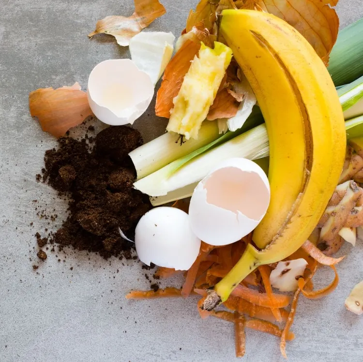 comment faire du compost avec des epluchures de legumes et de fruits