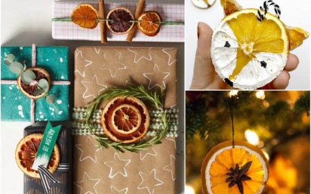 comment utiliser rondelles orange séchée décoration Noel originale aromatique