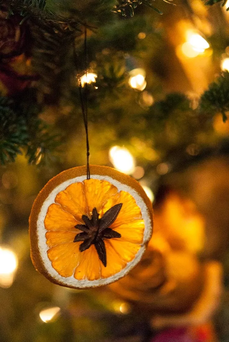 comment utiliser rondelles orange séchée pour décorer sapin de Noel 2021