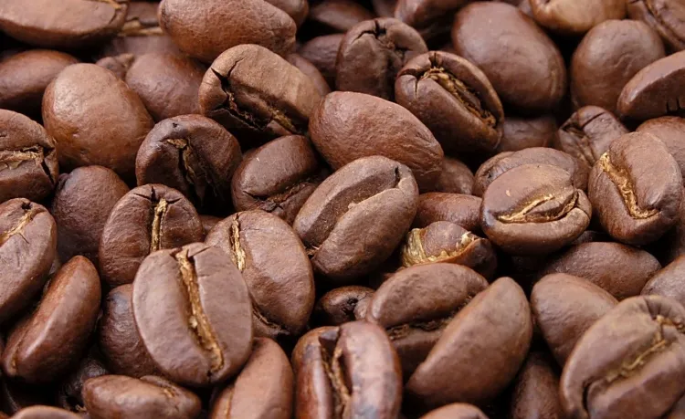 éliminer les mauvaises odeurs avec des grains de café