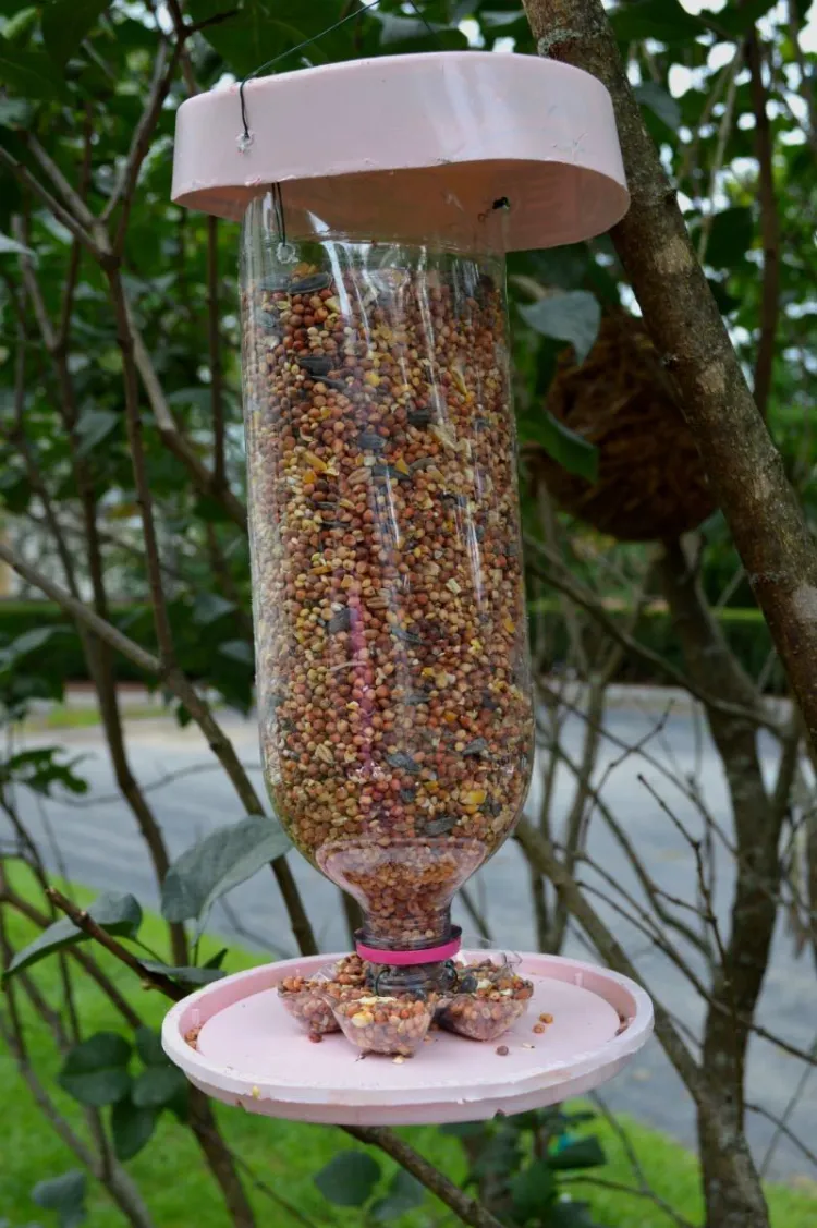 fabriquer mangeoire oiseaux DIY bouteille plastique accrocher au jardin