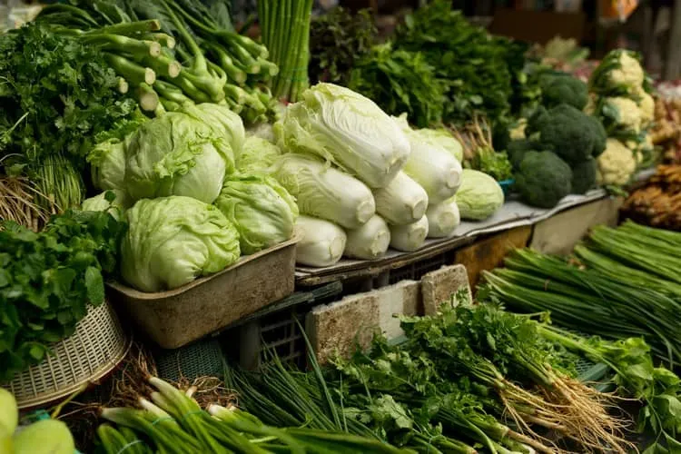 jardin en novembre légumes à planter manger de saison bon pour la santé