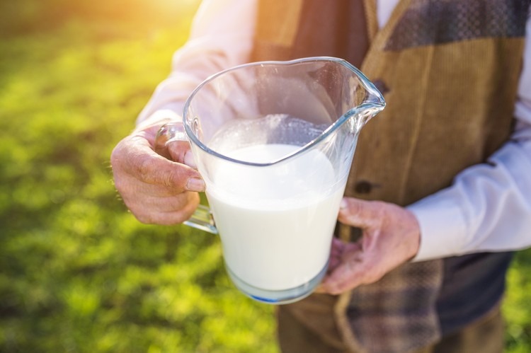 lait de jument bienfaits souvent négligés santé digestive système immunitaire cancer