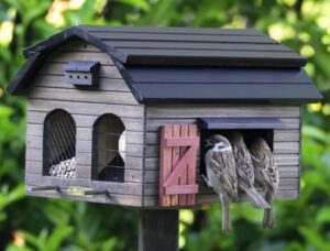 maison pour oiseaux à fabriquer soi meme