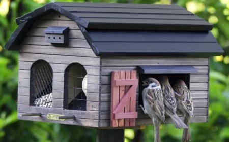 maison pour oiseaux à fabriquer soi meme