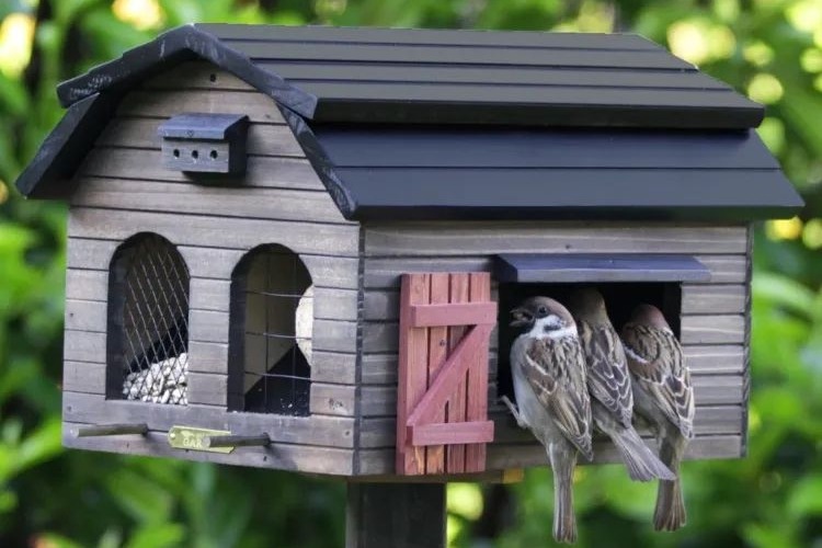 maison pour oiseaux à fabriquer soi meme