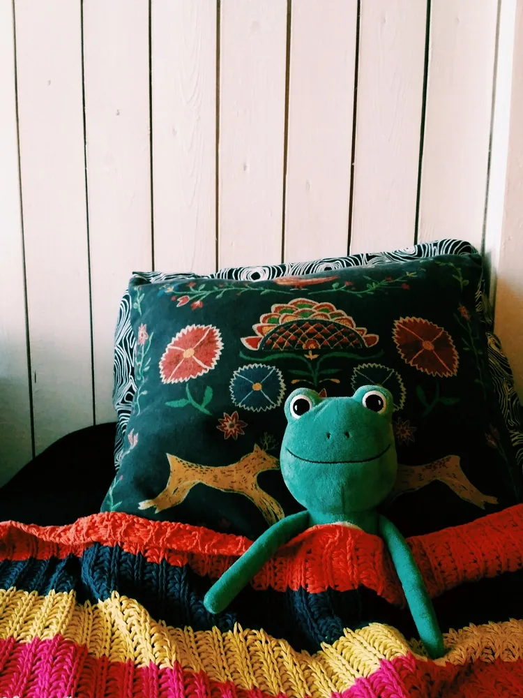 Peluche grenouille sur le lit après lavage