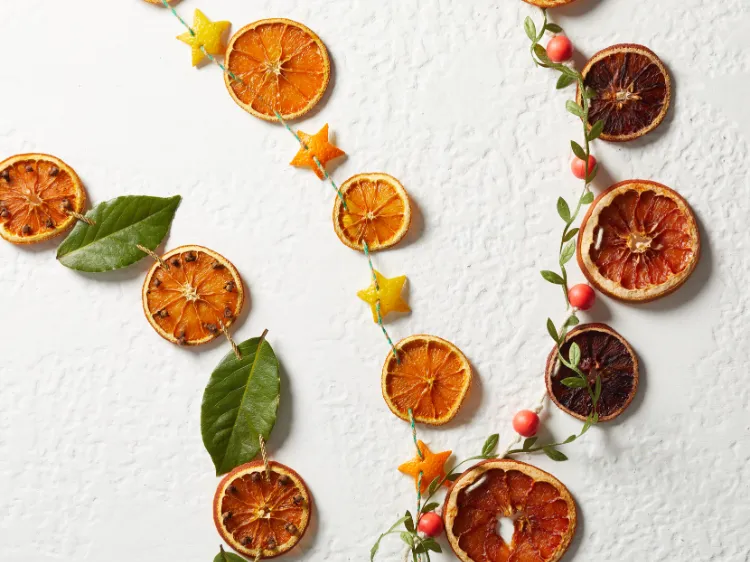 rondelles orange séchée fruits baies rouges feuilles guirlande décoration Noel originale