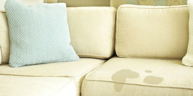taches de gras sur le canapé ou un fauteuil en tissu quelles astuces de nettoyage