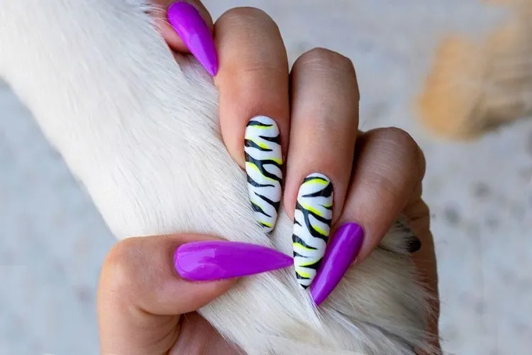 zebra nails avec une bade de couleur violette
