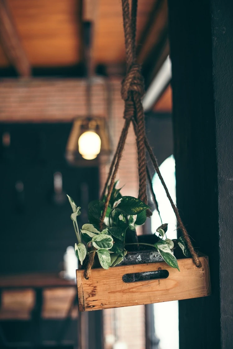 Boîte en bois pour plantes déco DIY