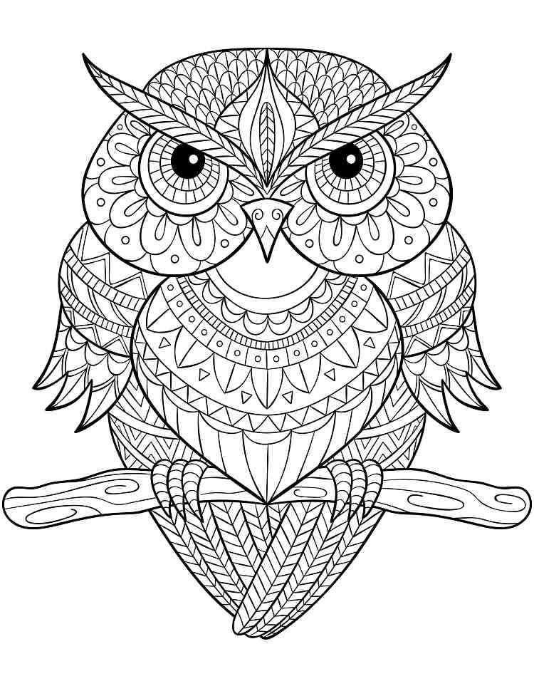 Coloriage mandala hibou