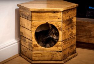 Comment fabriquer une maison pour votre chat palettes