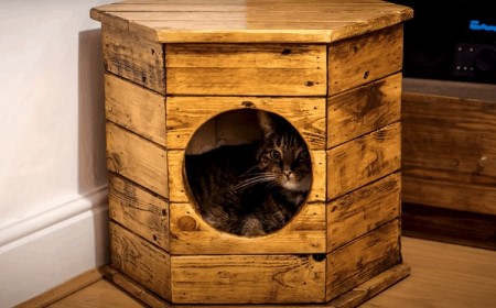 Comment fabriquer une maison pour votre chat palettes