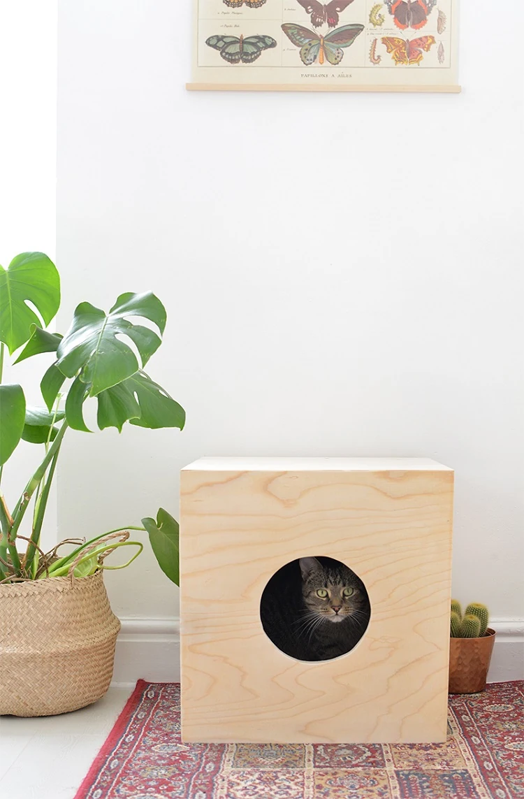 DIY maison pour chat en bois