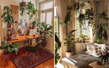 Décoration végétale