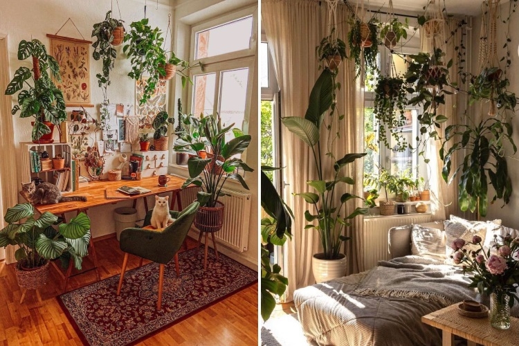 Décoration végétale