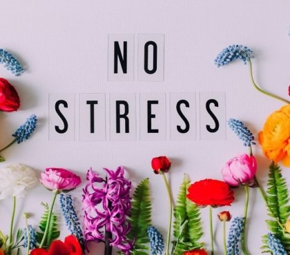 Huiles essentielles pour stress et anxiete