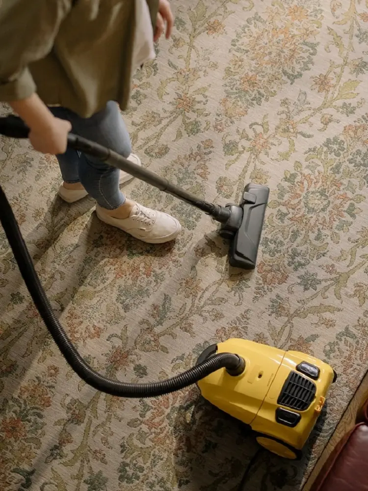Nettoyage frequent du sol comment éloigner les rats de la maison