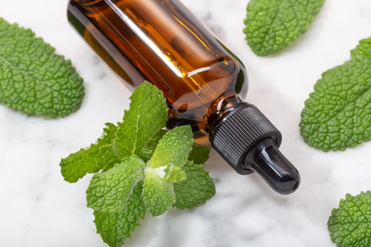 aromathérapie huile de menthe poivrée pour la santé des voies respiratoires