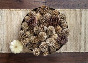 blanchir pommes de pin javel