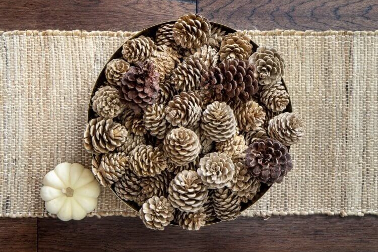 blanchir pommes de pin javel