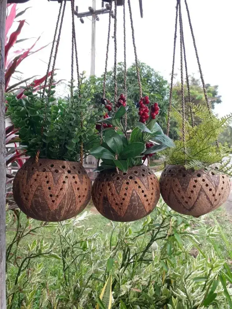 cache-pots suspendus coquilles idée bricolage noix de coco