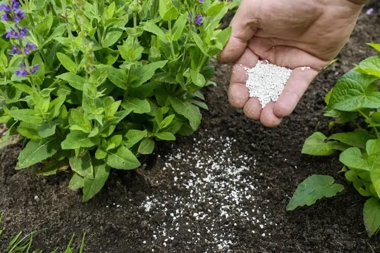 calcaire agricole chaulage du sol pour corriger acidité naturellement