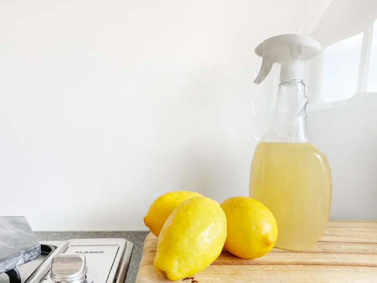citron et vinaigre blanc pour nettoyer la vitre de la cheminée