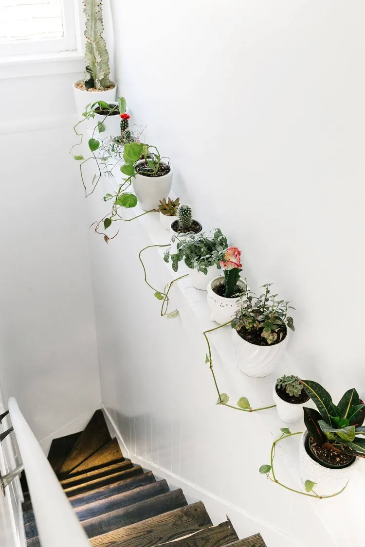 comment décorer les escaliers avec plantes en pots sur fond peinture murale blanche