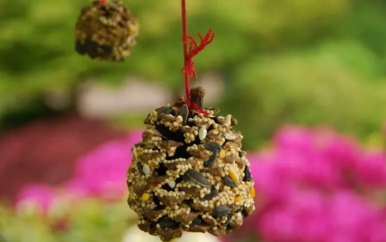 comment fabriquer mangeoire oiseau pomme de pin activités jardinage enfants hiver