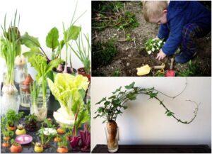 comment faire pousser plantes hiver activités jardinage enfants tous ages