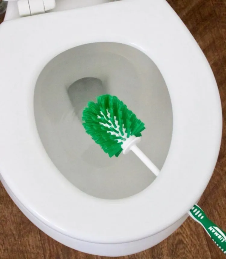 comment nettoyer brosse à toilettes