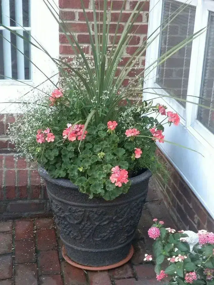 comment protéger les plantes en pots du froid gel renter maison